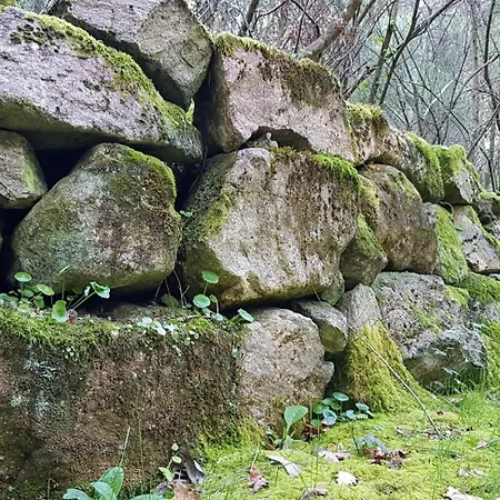 Апартаменты Arenales Azules